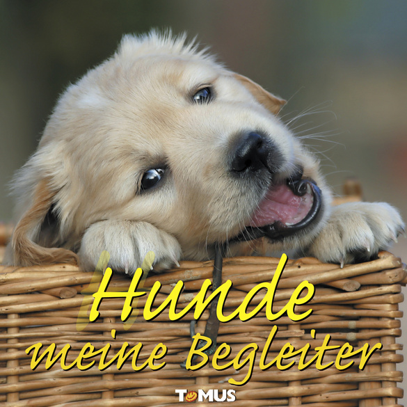 Pagen Buch "Hunde meine Begleiter"