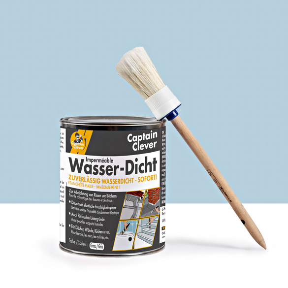 Pagen Dichtungsmasse "Wasserdicht"