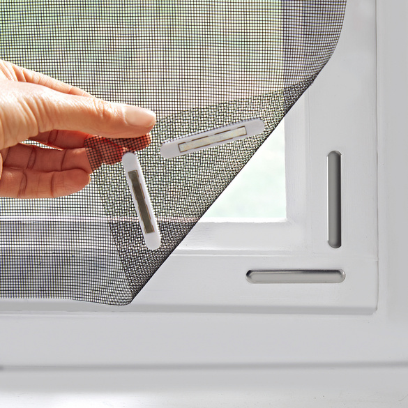 FensterFliegengitter 3PAGEN