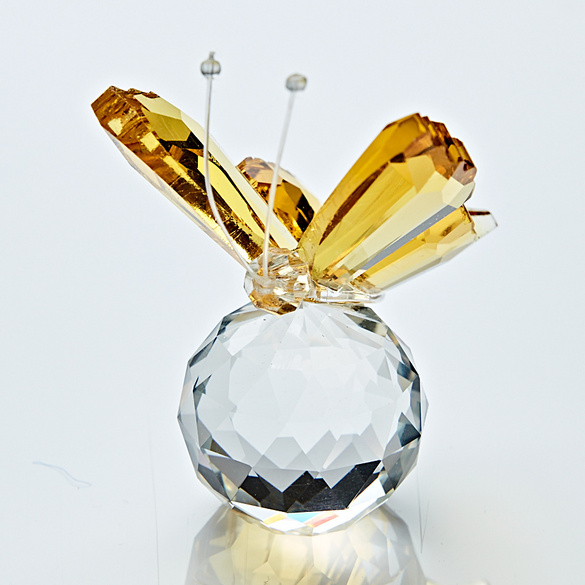 Pagen Glasschmetterling als Deko