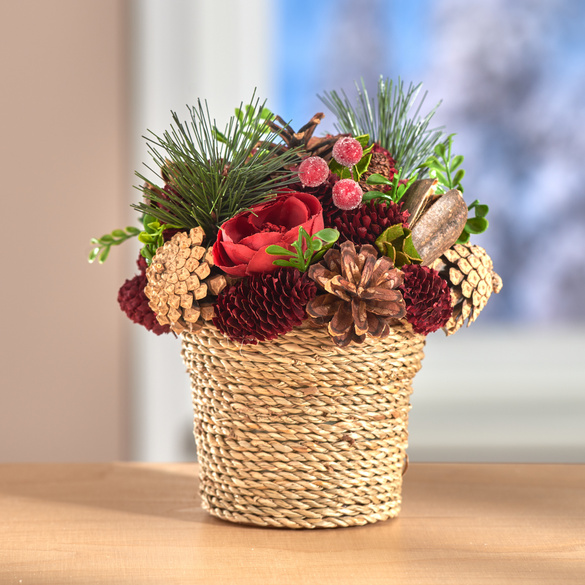 Herbstgesteck Tanne mit Beeren und Zapfen in Topf