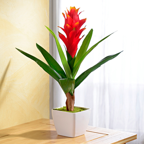 Kunstpflanze Guzmania im Topf, bordeaux