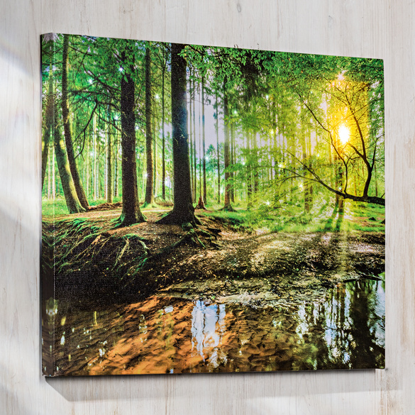 Pagen LED-Bild "Wald"