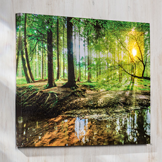 LED-Bild "Wald" LED-Bild "Wald"