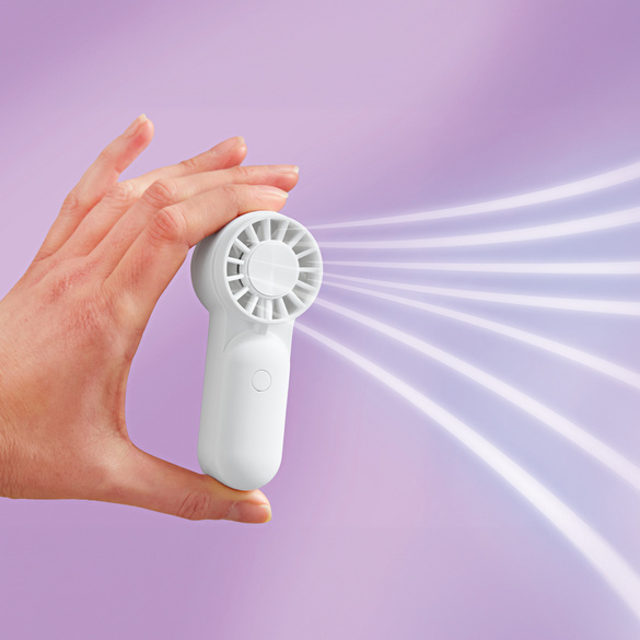 Pagen Mini-Ventilator mit Akku