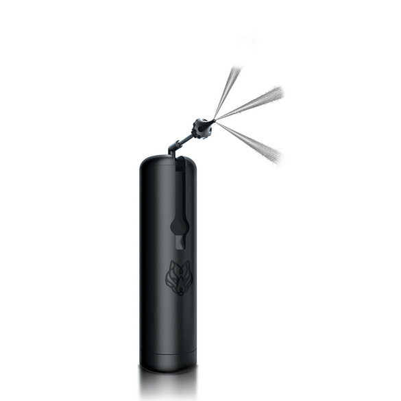 Ohrenreiniger "Wush" elektrisch