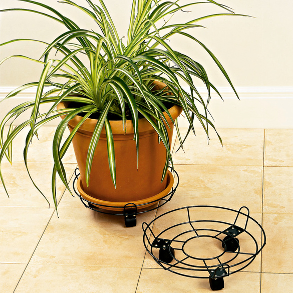 Pflanzenroller 2er Set – Runder Blumenständer 30,5 Cm, Holz Mit 360° Rollen, Belastbar Bis 120 Kg, Transport-Hilfe Für Töpfe & Möbel