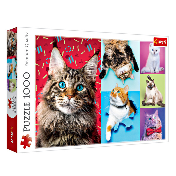 Puzzle Für Erwachsene „Katze & Aquarium“ – 1000 Teile, 60,7x60,7 Cm, Mit Poster & Stabiler Box