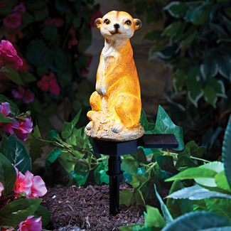 Vivid Arts Baby-Erdmännchen Deko – Für Haus Oder Garten, Handbemaltes Sammlerstück