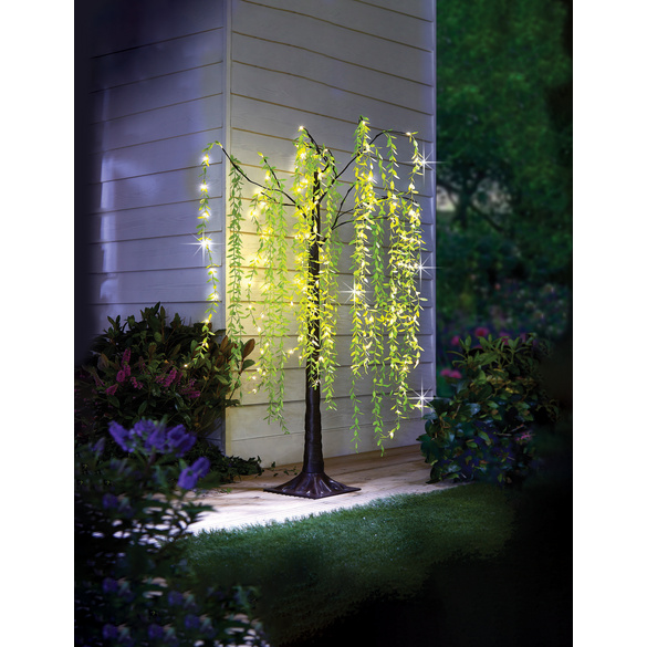 Solar-Weidenbaum Gainsborough 1,5m