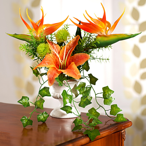 Pagen Strelitzia im Pokaltopf