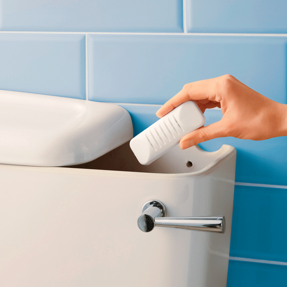 Pagen Toilettenentkalker, 2er-Set