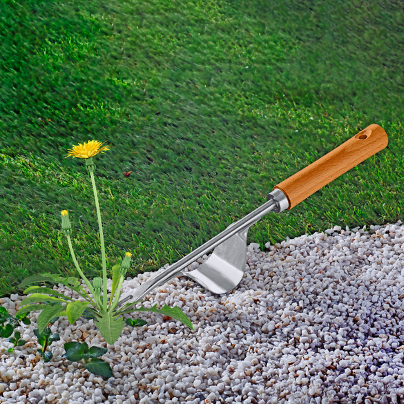 Pagen Unkrautausstecher