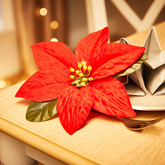 Weihnachtsstern mit Clip