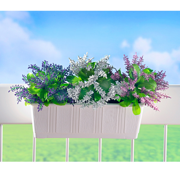 BalkonkastenFüllung "Lavendel", 3er Set, Artikelnummer 1233600