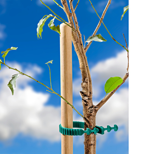 Pflanzenhalter, 8er-Set, Artikelnummer: 1682500