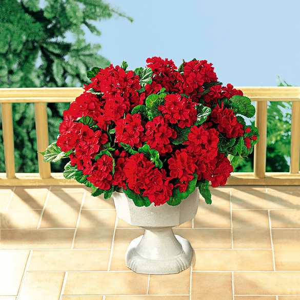 Kunstblume Geranien-Bouquet rot