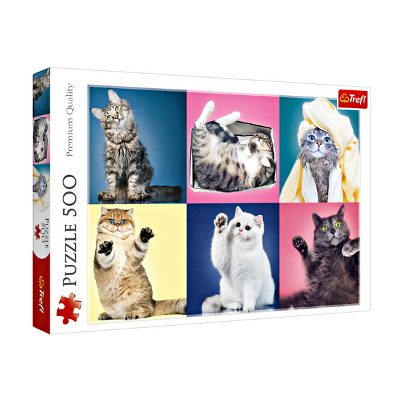 Puzzle 500 Teile - Katzen