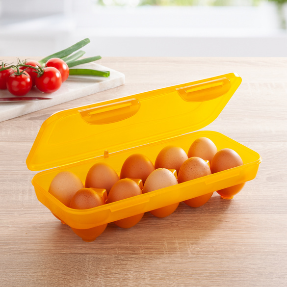 Eierbox Frischhaltedose für 10 Eier