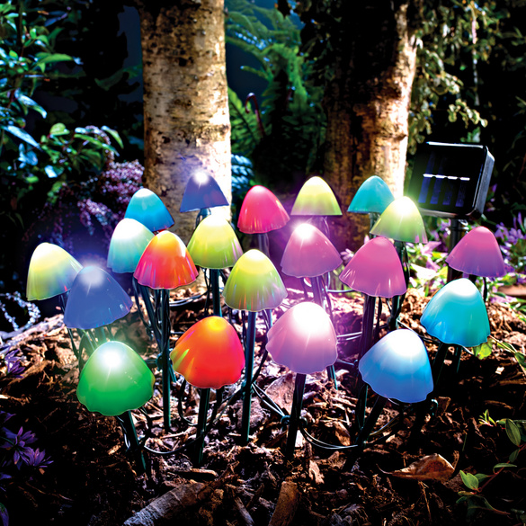 Solarstecker Lichterkette Pilze mit Farbwechsel Gainsborough