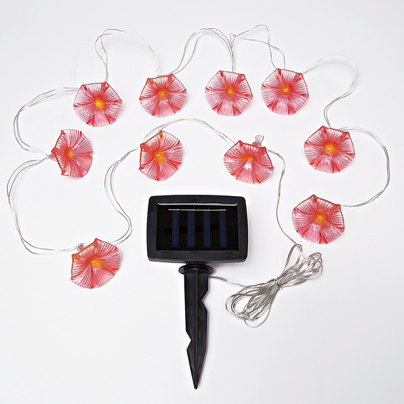 Solar-Lichterkette "Windenblüten" pink Gainsborough
