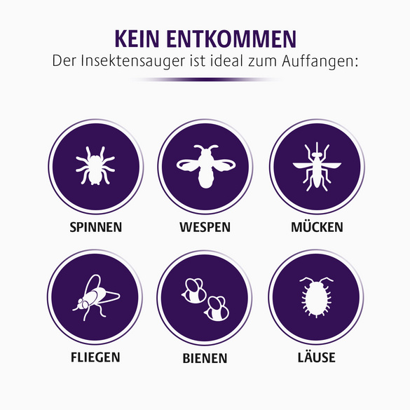 Insektensauger tierfreundlich