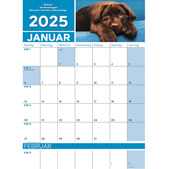 Wandkalender 2025 "Tierbabys"