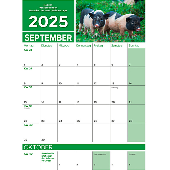 Wandkalender 2025 "Tierbabys"