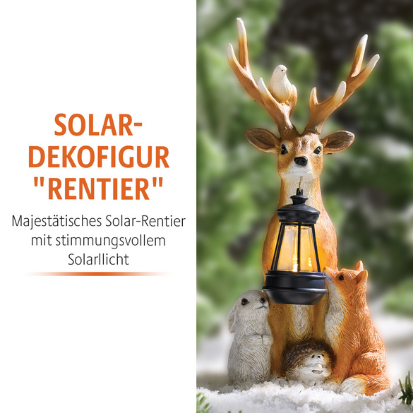 Solar-Dekofigur "Rentier" mit Laterne