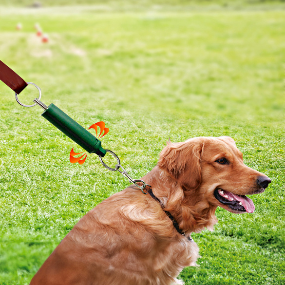 Zwitschernder Hundetrainer