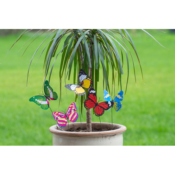 5er-Set Schmetterlinge zum Aufstecken