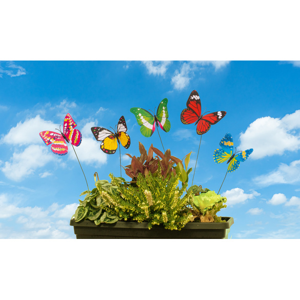 5er-Set Schmetterlinge zum Aufstecken