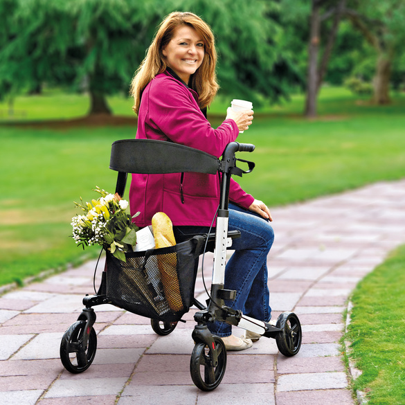 Rollator schwarz silberfarben