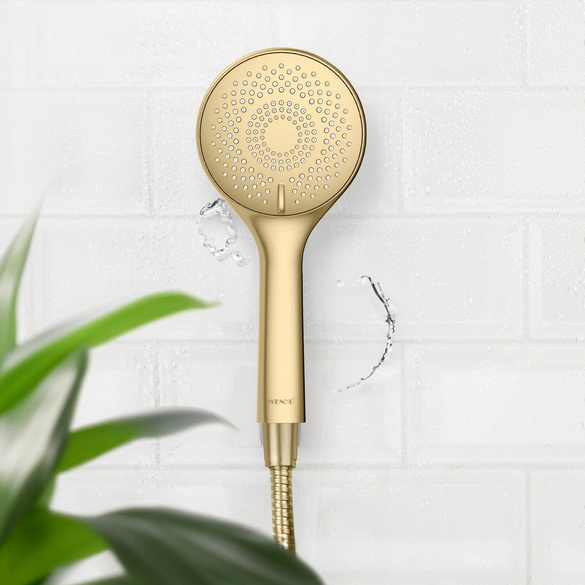 Handbrause „Watersaving“ Gold matt WENKO