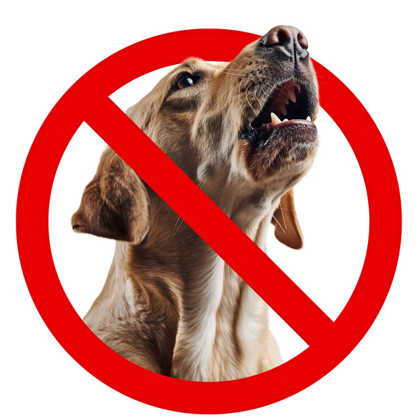 Bell-Stopp für Hunde