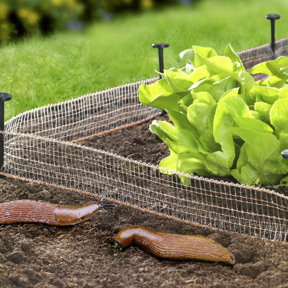 Schnecken-Stopp 8 m 2er Set MAXIMEX