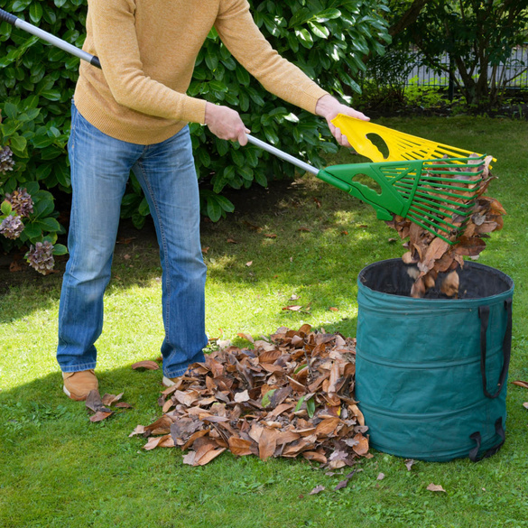 Laubrechen 3-in-1 mit Teleskopstiel MAXIMEX