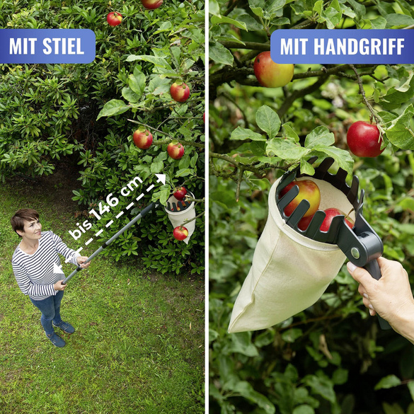 Obstsammler XL mit Teleskopstiel MAXIMEX