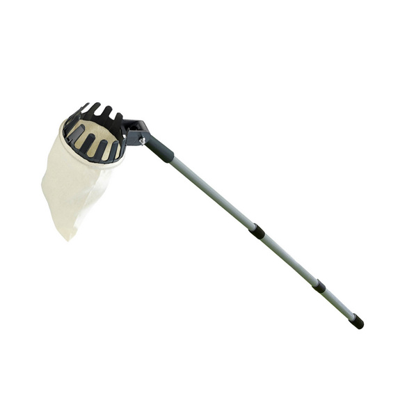 Obstsammler XL mit Teleskopstiel MAXIMEX