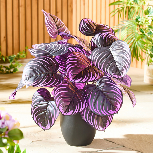 Hosta-Stecker 2er-Set