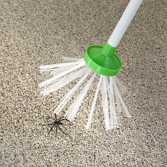 Spinnenfänger mit langem Griff
