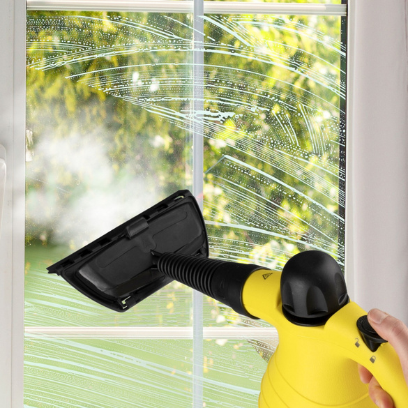 Dampfreiniger tragbar Alpina