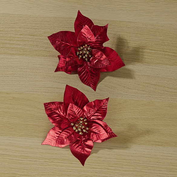 Weihnachtsstern-Clips 2er-Set