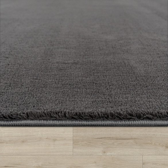 Kurzflor-Teppich CADIZ 630 Anthrazit Rechteckig Paco Home