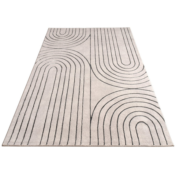 Kurzflor Teppich Tuana 215 Grau Paco Home