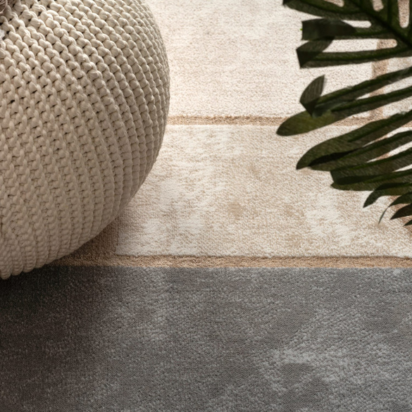 Kurzflor Teppich Tuana 220 Grau Paco Home