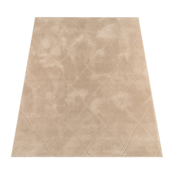 Kurzflor Teppich Utrecht 641 Beige Paco Home