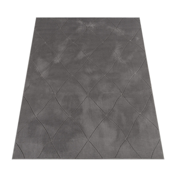 Kurzflor Teppich Utrecht 641 Anthrazit Paco Home
