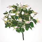 Fuchsienbusch weiß-rosa