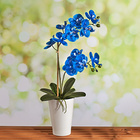 Kunstblume Blaue Orchidee Eldo